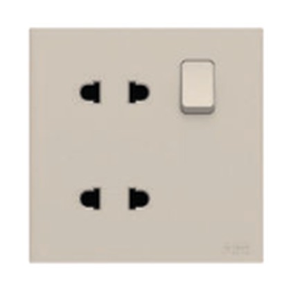 ABB Framia BC222-CH 2 Gang Euro-American Switched Socket Outlet, 10A (Champagne Gold)