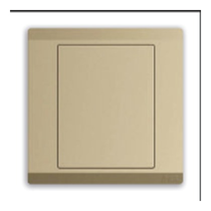 ABB Inora BL504-PG 1 Gang Blank Plate (Royal Gold)